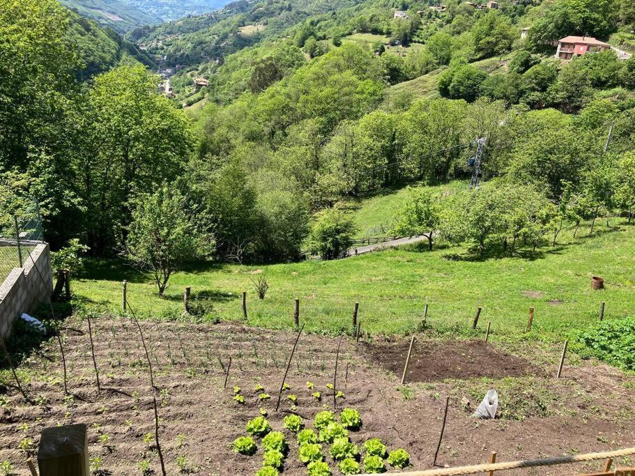 Вилла La So Casa -En El Corazon De Asturias Армьельо Экстерьер фото